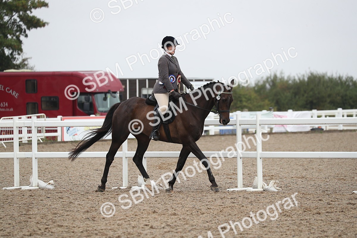 SBM_21679 - Class 602 - 2025 Area - Ridden Veteran