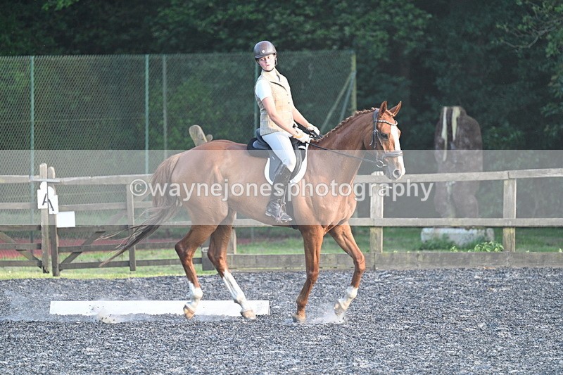 WJ7_0315 - Time 19:38 to 20:00