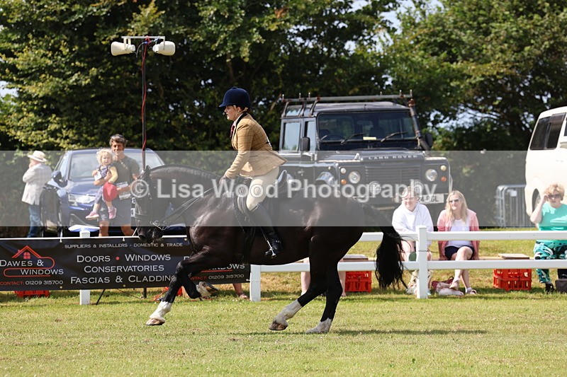 3E7A9830 - Class 5: Rising Star Lightweight/Heavyweight Cobs