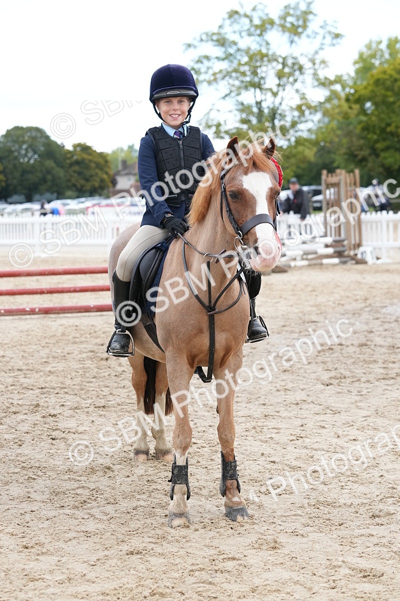 SBM_40891 - Supreme Championship Pony 50-55cm