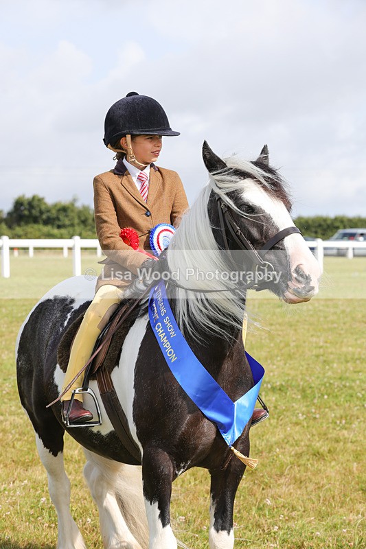 1X9A3525 - Skewbald and Piebald Ridden Championship