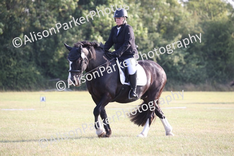 20250731-0671 - Class 1 - Intro 4