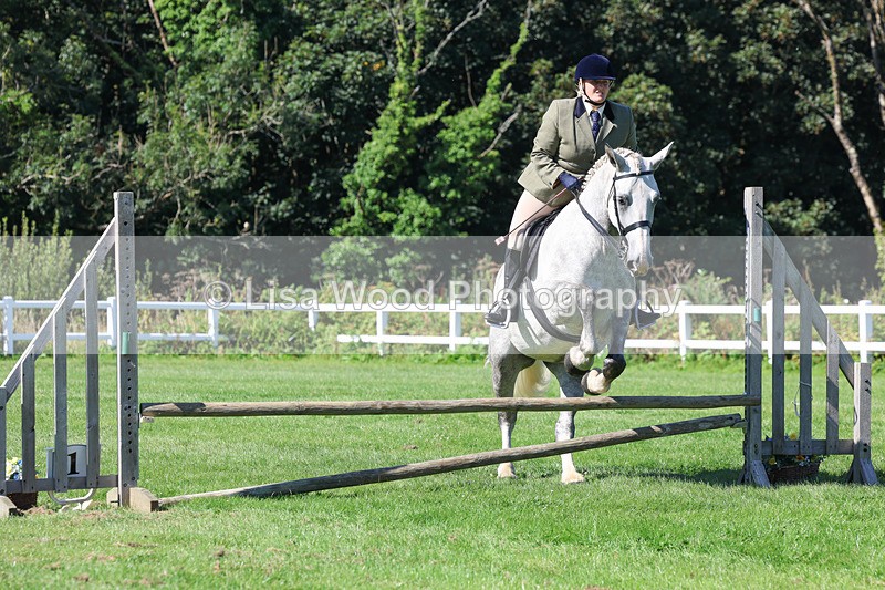 3E7A8239 - Class 4: Novice working Hunter