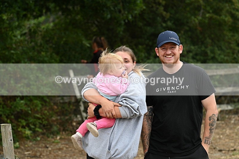 WJ7_9982 - Class 5a Most Handsome Gelding (above 14.2hh)