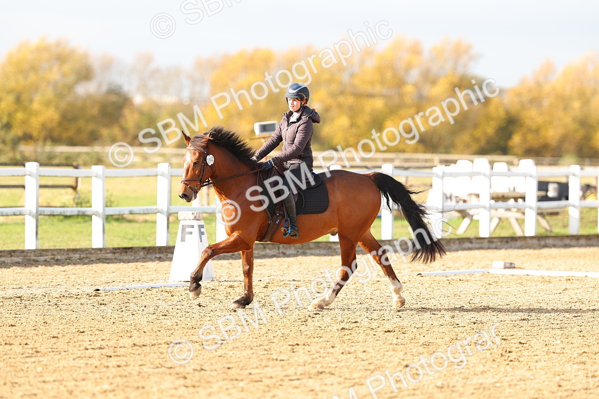 SBM_001219 - Class 13-4-9 - DR P3 CT P3 70cm CT PYO