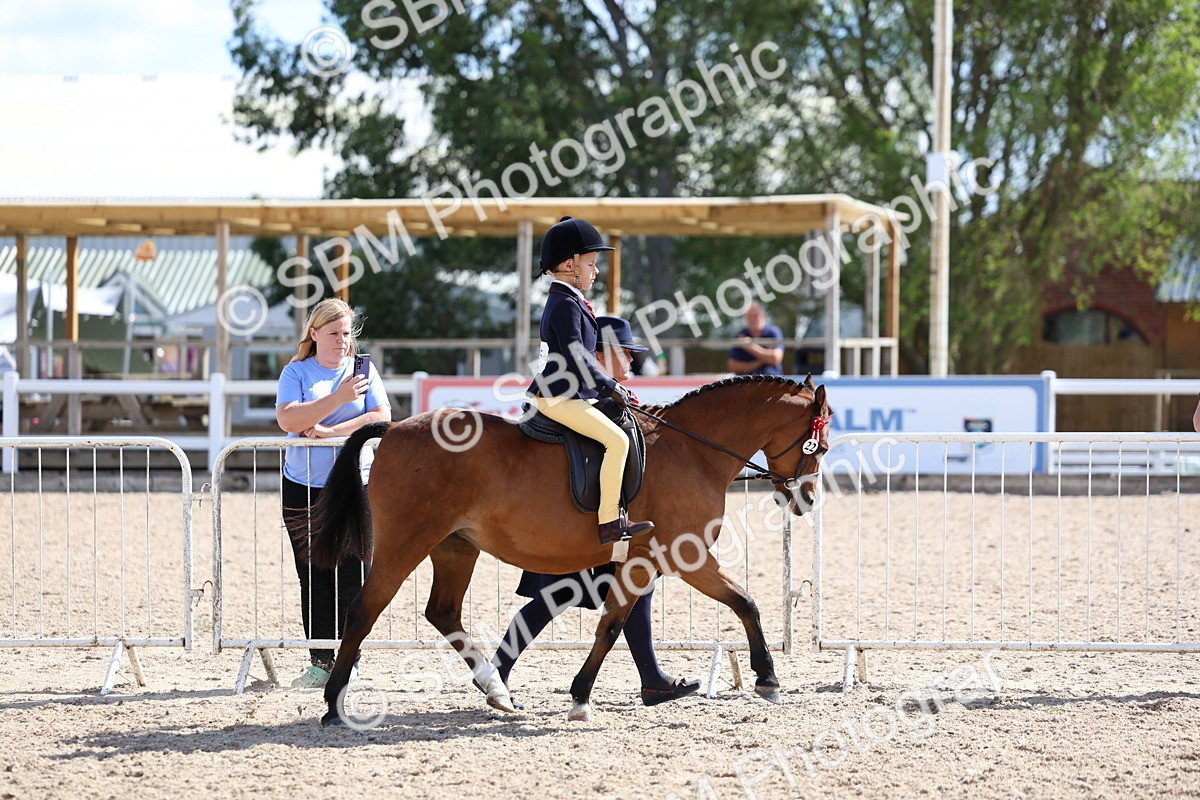 SBM_13035 - Class 309 - Lead Rein Pony