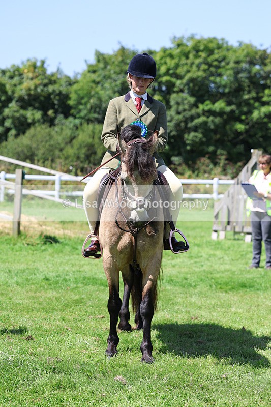 3E7A9271 - Working Hunter Championship