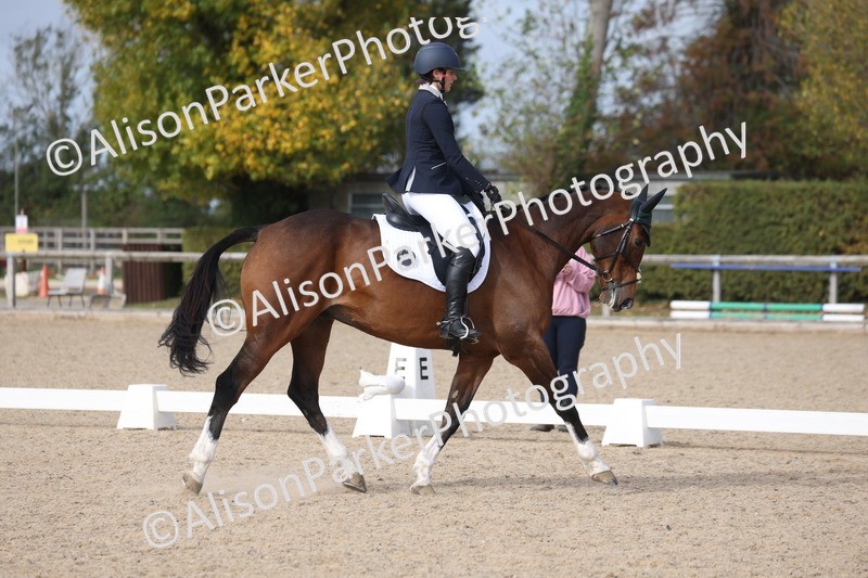 20261010-0676 - Class 6 - Novice 2