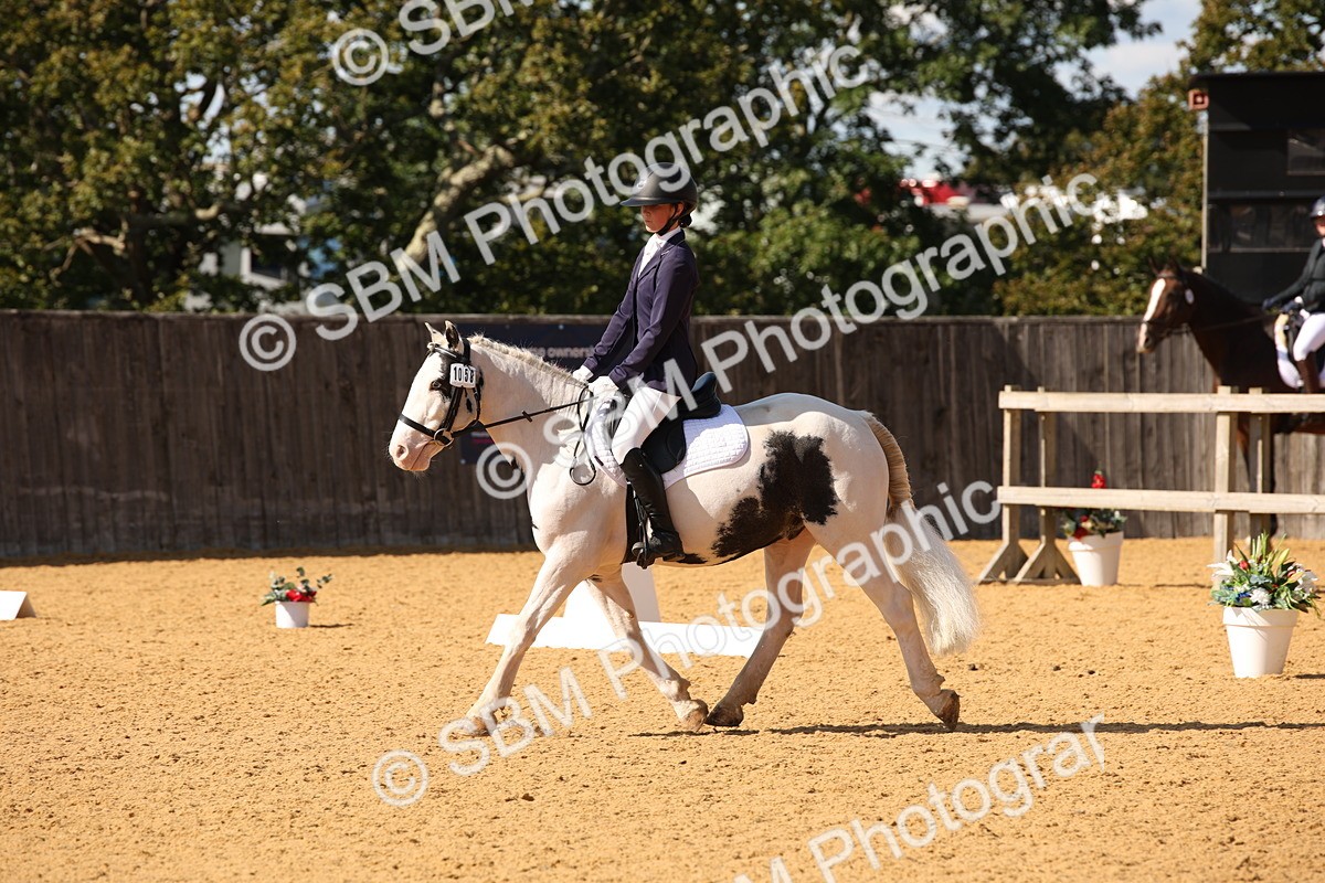 SBM_24265 - D5 - Small Tour Championship - Intro C