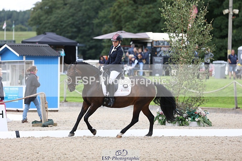 230813-120315-07007 - Cls 11 Elem Bronze 11.10 to 12.20 break