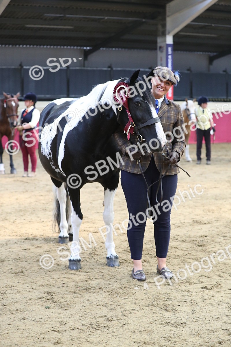 SBM_06476 - Class 9R Regional- IH Pre Vet