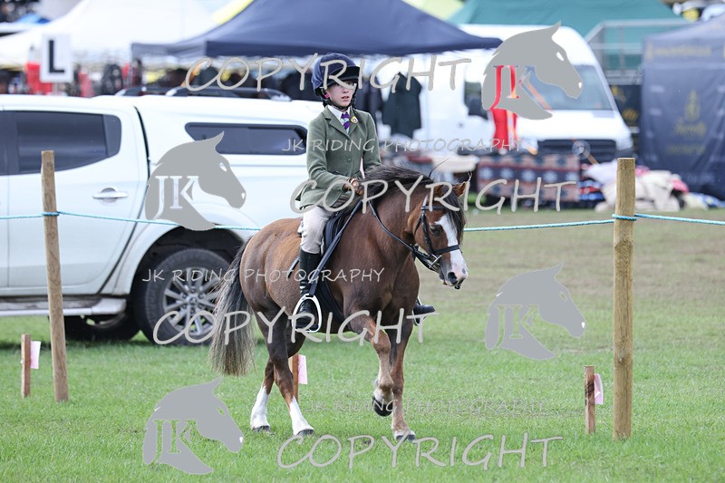 APP_4162 - Class 15a/b Pony club pony/Riding club horse