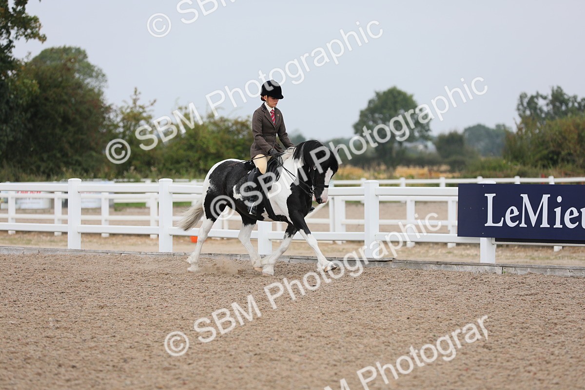 SBM_12671 - Class 307 Ridden Coloured Pony