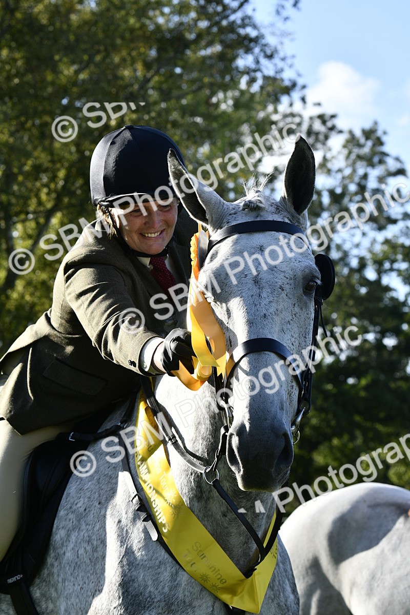 SBM_52265 - S35 - Working Hunter & Working Show Horse