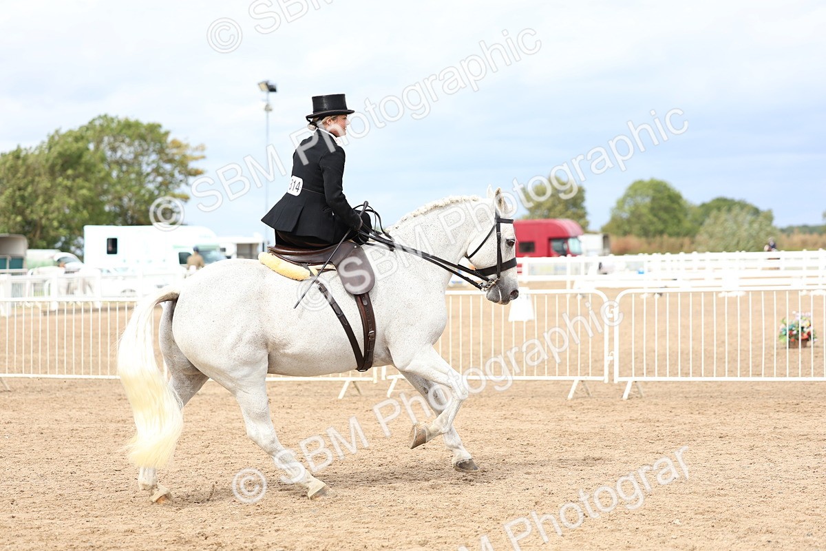 SBM_03409 - Class 24 - SSA Concours d'elegance (any age)