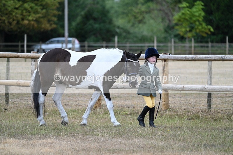 WJ7_9471 - Class 5 Most Handsome Gelding (up to 14.2hh)
