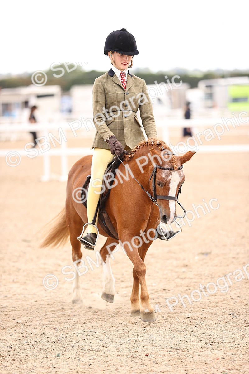 SBM_18073 - Class 422 - Equitation (Best Rider) Jnr