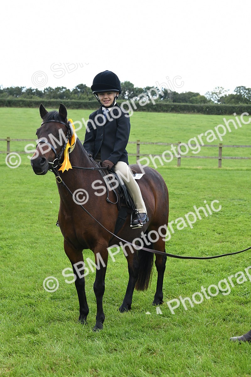 SBM_42688 - S20 - Lead Rein Mountain & Moorland Pony