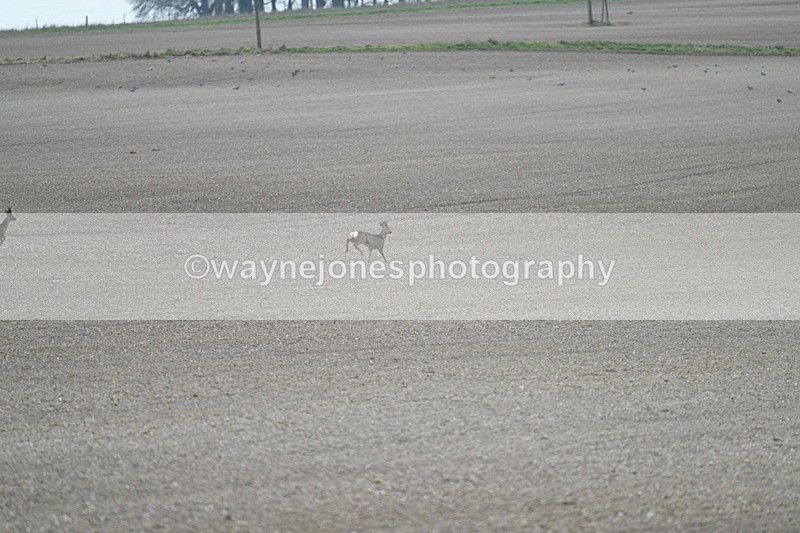 WJ7_7958 - Line 2 A camera