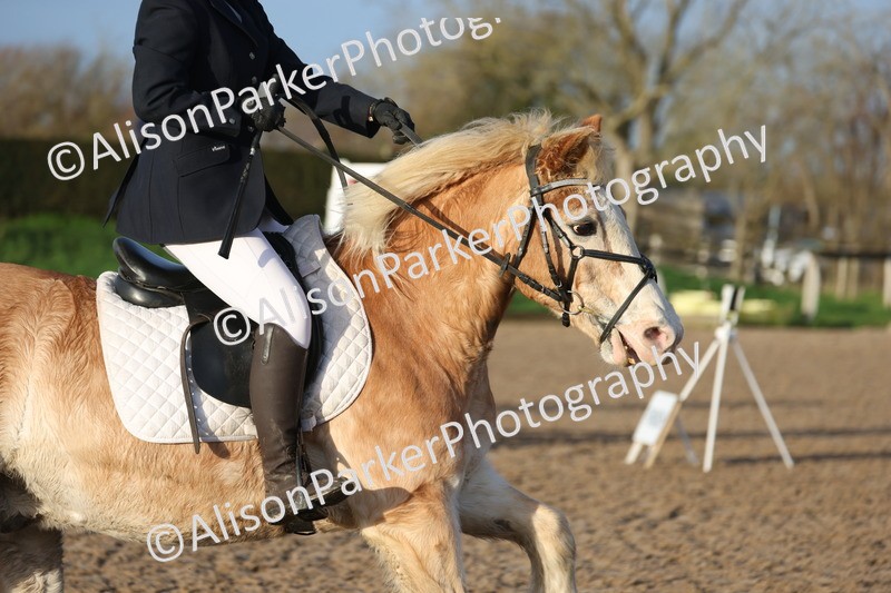 20251214-0059 - Class 1 - 60cm