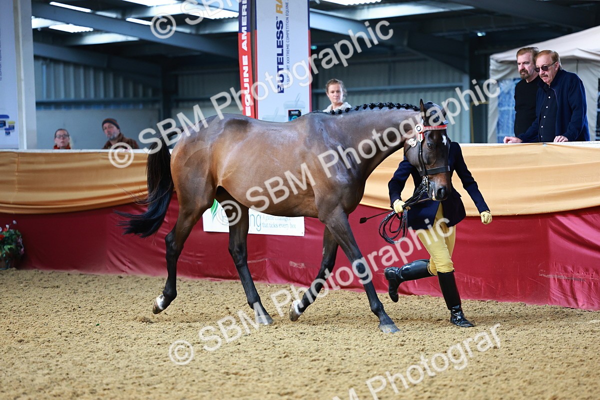 SBM_22170 - Class 902 - Supreme Final - IH Diamond