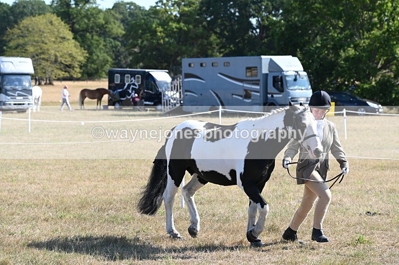 WJ6_7232 - Class 33 Rescue Pony