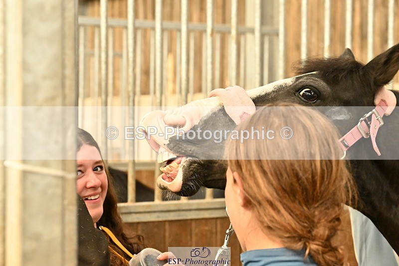 250821B-162351-00506 - Stable Shots and Group Photo