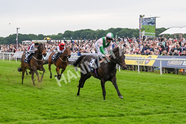 250524-Race 3-Starlust-3250 - Race 3 2.45pm William Hill Extra Place Races Daily Handicap