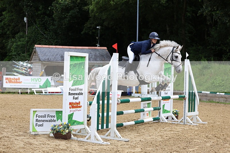 3E7A6315 - Class 4: Senior British Novice/90cm open