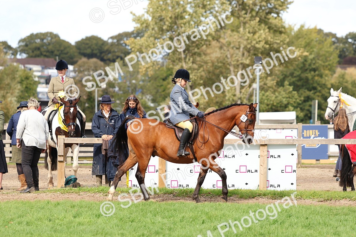 SBM_47588 - S28 - Veteran Ridden