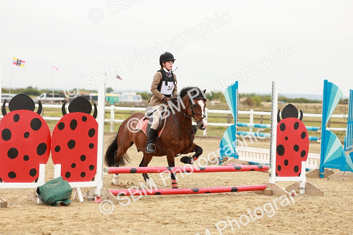 SBM_007307 - Class 2 - 50cm