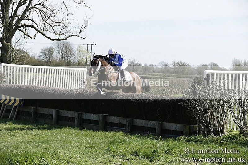 PtP 250317 39 - V.W.H. Hunt Point-to-Point Siddington 25/03/17