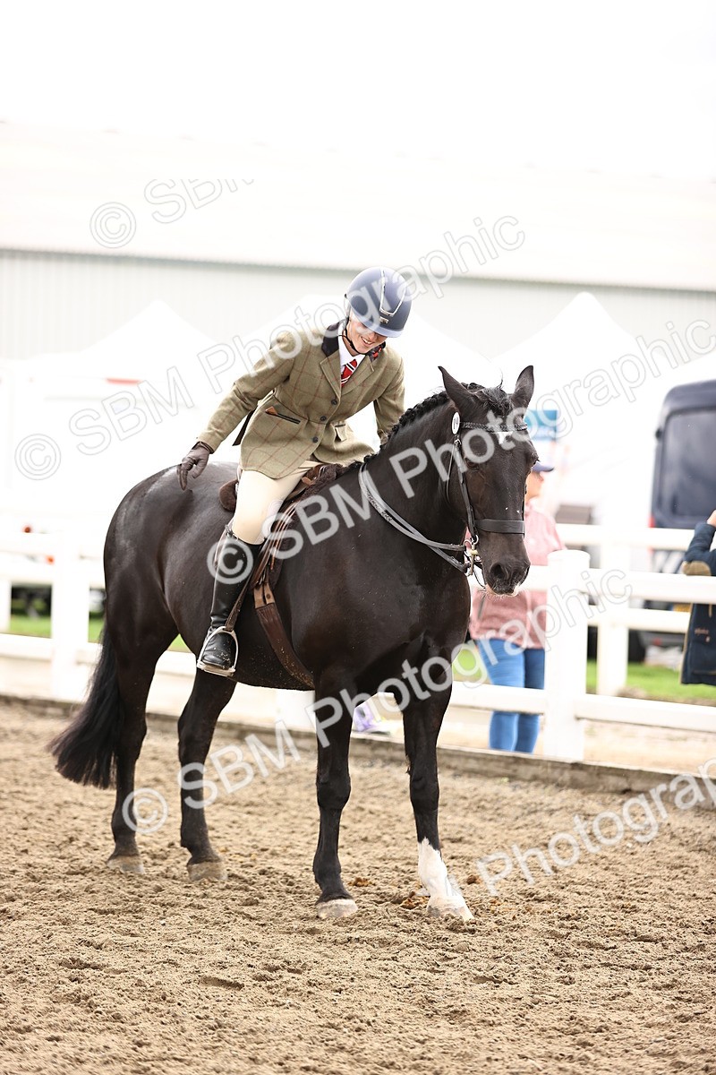 SBM_00657 - Class 53 - Ridden Competition Horse Pony