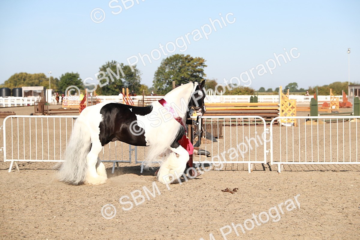 SBM_00161 - Class 40 Best Turned Out IH