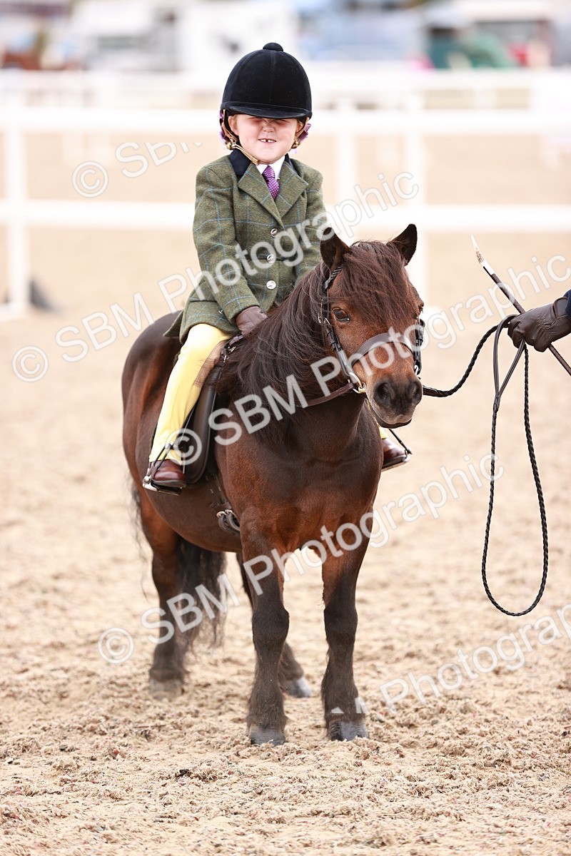 SBM_18499 - Class 420 - Ridden M&M