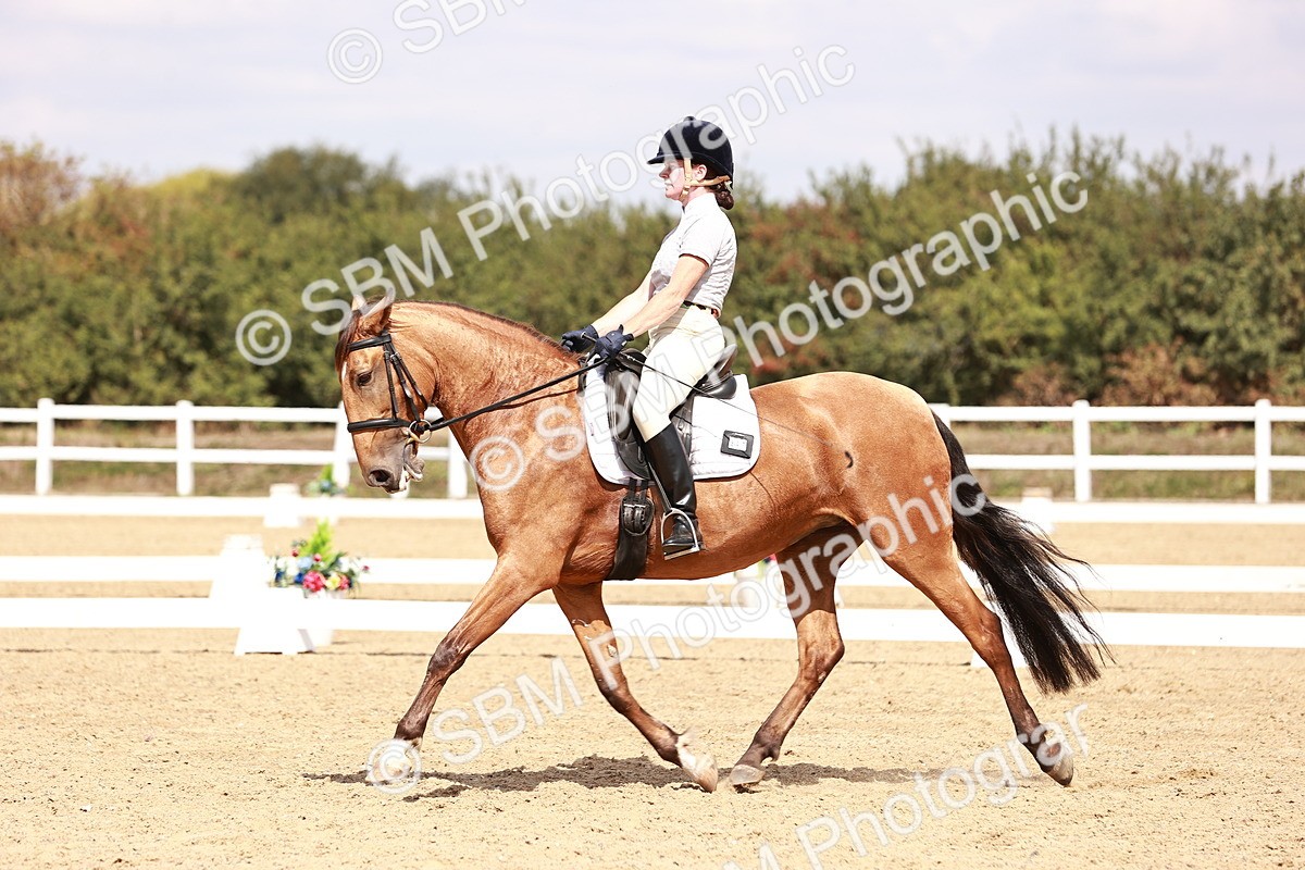 SBM_018561 - Class 17 - Novice 6