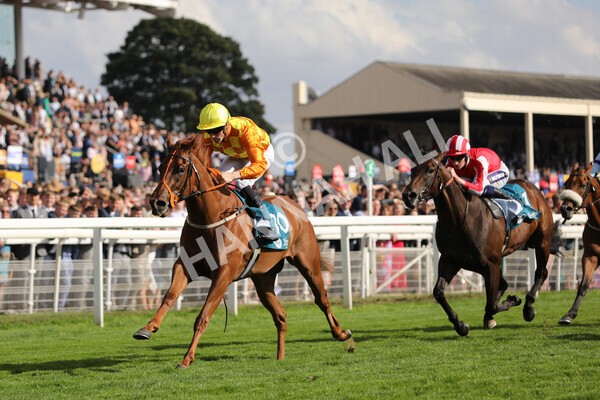 yr20082022r6-13 - Race 6 4.45 pm Julia Graves Roses Stakes