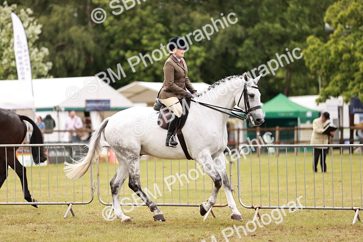 SBM_11552 - Class 81-84 - RIHS Ridden hunters Inc Ladies Hunter