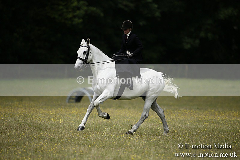 BVR160717-1604 - Side Saddle Classes 16/07/17