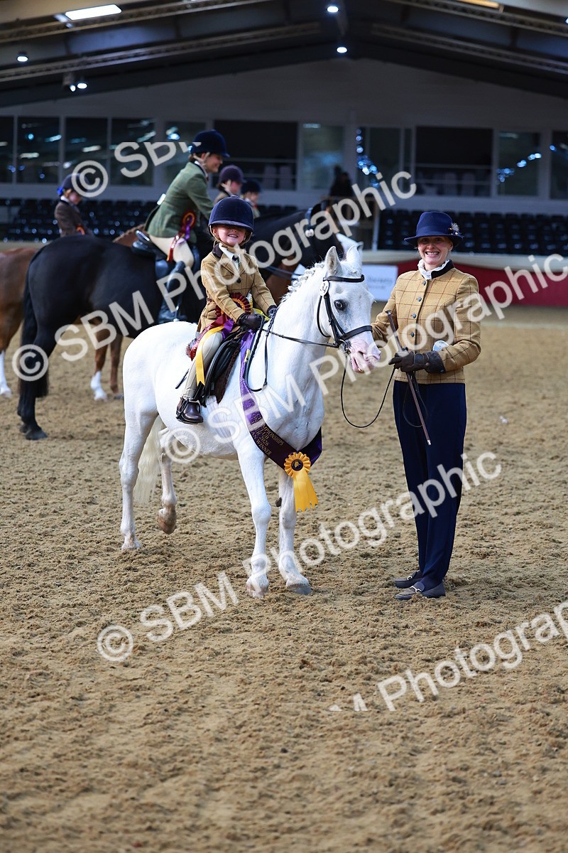 SBM_07740 - Class 101 - HOYS Veteran Qualifier - Ridden Diamond