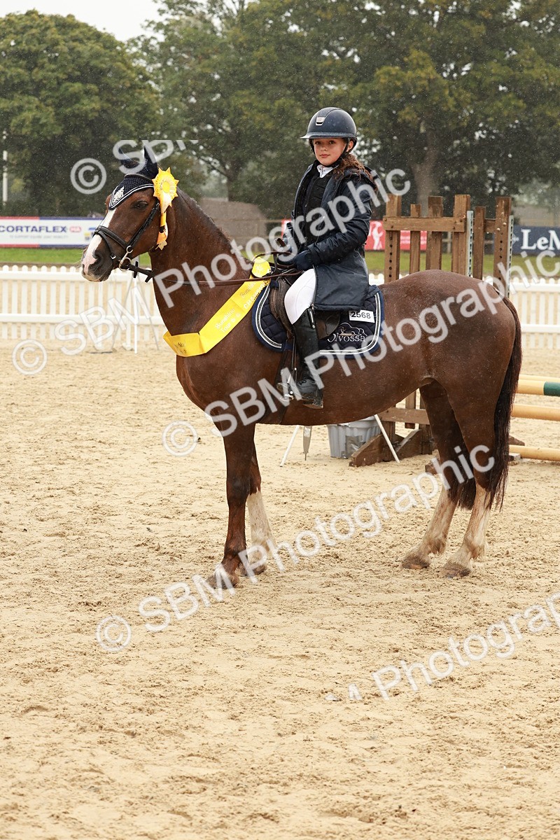 SBM_72205 - J14 - Junior Pony 65cm Championship