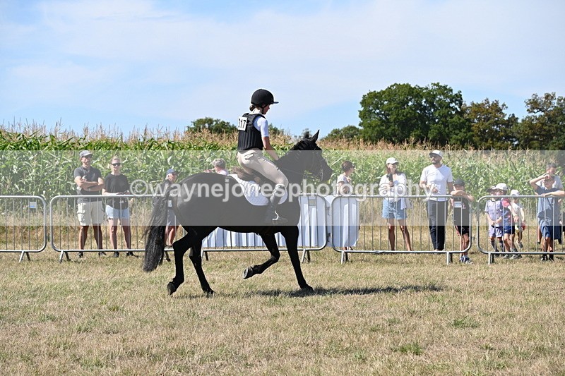 WJ6_8326 - Class 37a Best Loan Pony Ridden