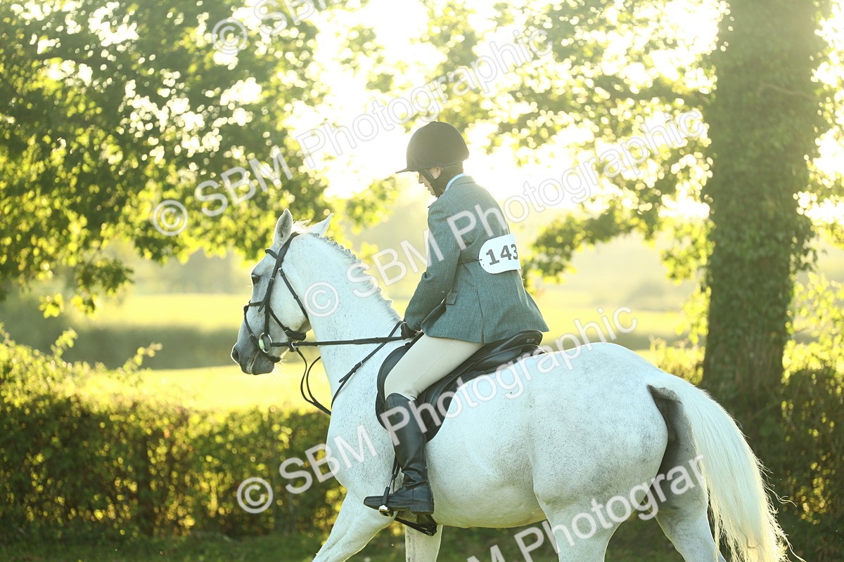 SBM_56398 - S14 - Riding Club Horse
