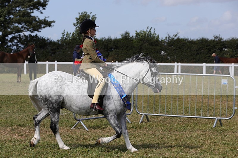 1X9A5515 - M&M Mini Ridden Championship