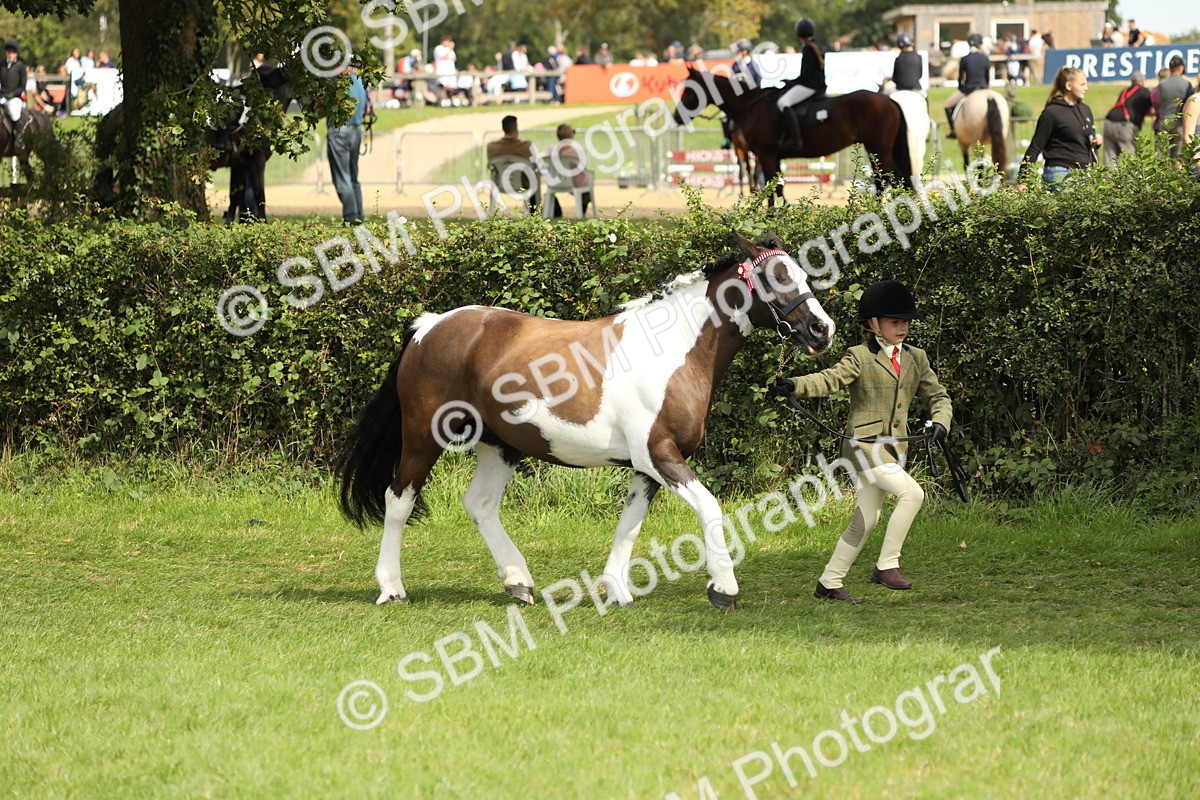 SBM_67727 - S39 - Junior Handler 8  Years & Under