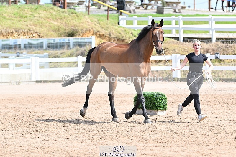 240717A-154510-03034 - Trot Up 3pm to 4pm