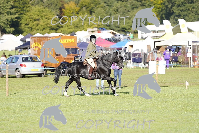 _DSC9452 - Class 8 & 17 Ridden Hunter & Ridden Hunter Pony
