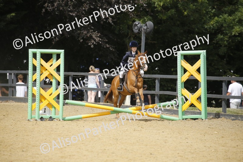 20250622-3999 - 50cm