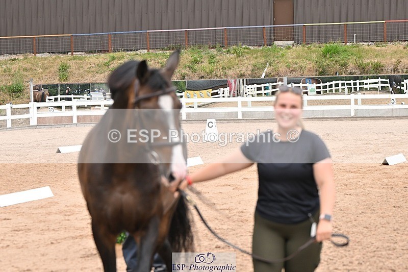 250716-144734-01405 - Trot Up 2.30 to 3.30