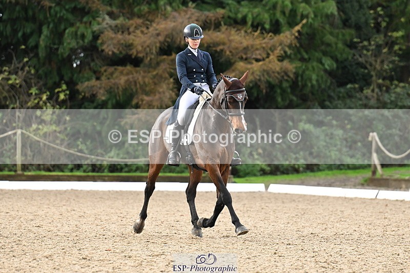 251023A-104449-01530 - B-131-Gemma.Gurvidi